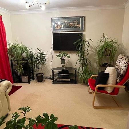 Cozy Homestay 克罗伊登 外观 照片
