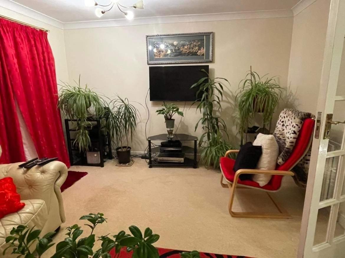 Cozy Homestay 克罗伊登 外观 照片