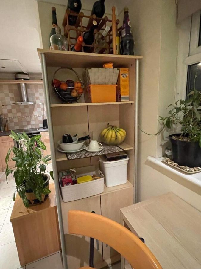 Cozy Homestay 克罗伊登 外观 照片