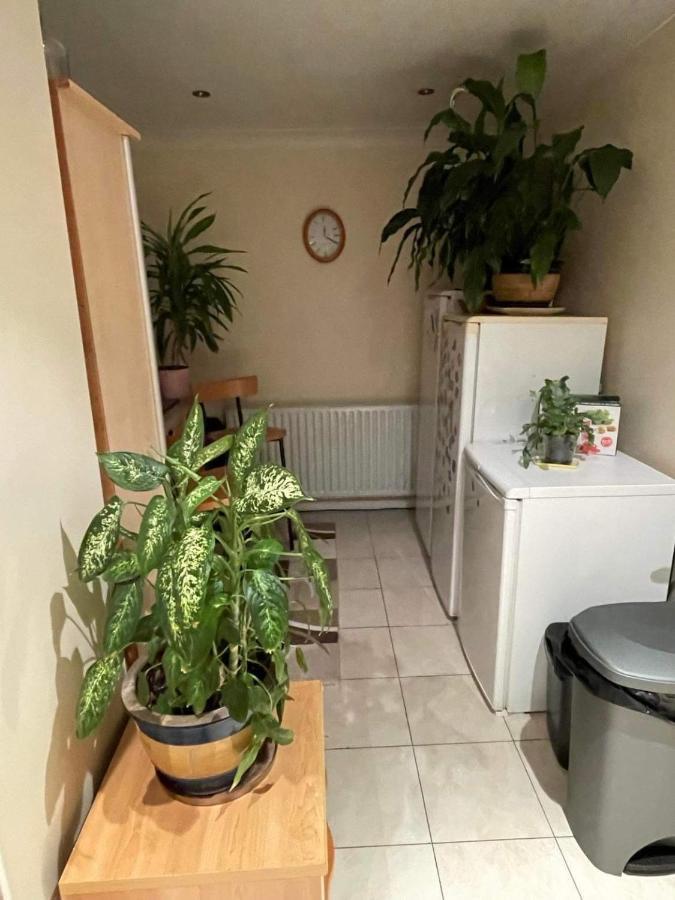 Cozy Homestay 克罗伊登 外观 照片